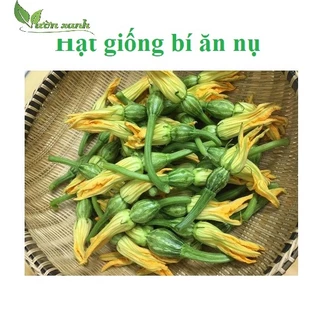 Hạt giống bí ăn nụ Rocket 2gr- bí siêu nụ Hóa Nông