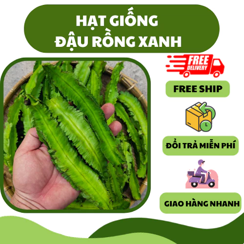 Hạt giống đậu rồng cao sản (5 gram) - dễ trồng,giòn, dinh dưỡng cao