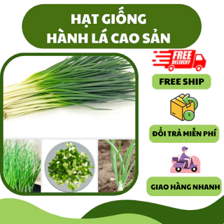 Hạt giống hành hương, hành lá cao sản (2 gram) - nhiều vitamin, năng suất cao