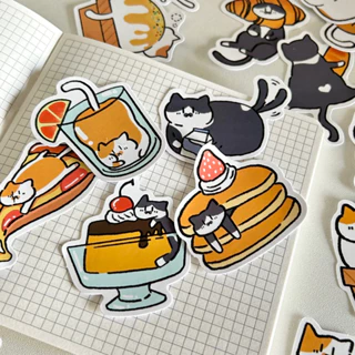 SET 10 STICKER CAT BAE LAZY (ảnh thật) - tiệm nhà chun