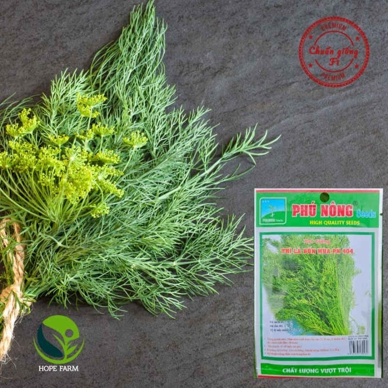 Hạt Giống Rau Thì Là - Gói 5g - Aromatic Leaf Fennel