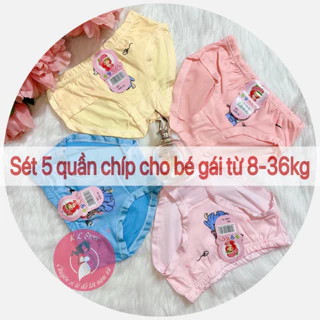 Sét 5 quần chíp cho bé gái, quần lót tam giác (size 8-42kg), thun mịn mát QTE21