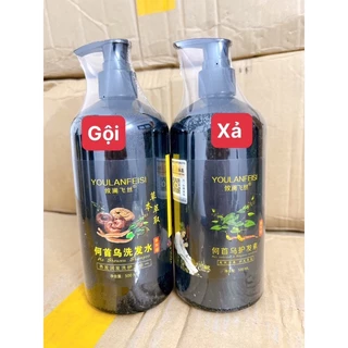 Cặp dầu gội thảo dược HÀ THỦ Ô- LINH CHI 500ML