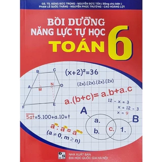 Sách Bồi dưỡng năng lực tự học Toán 6