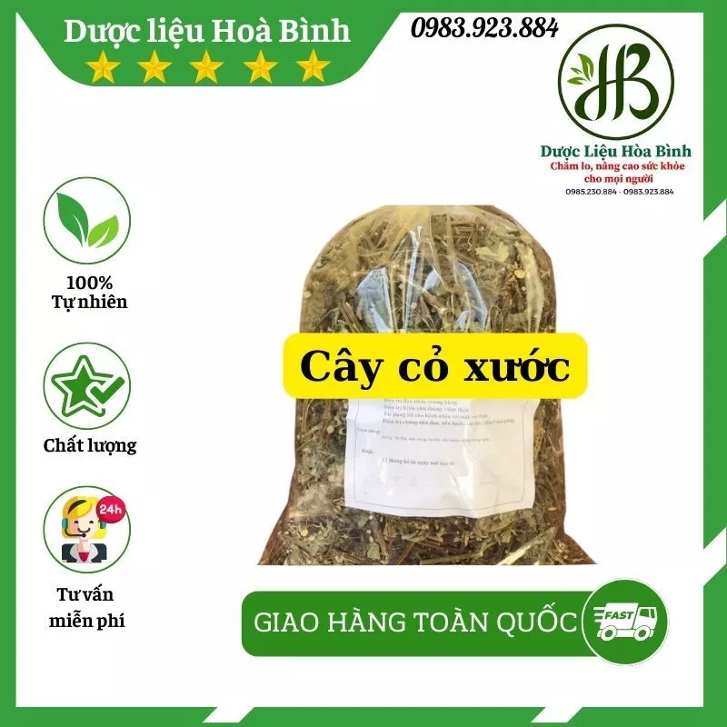 Cây cỏ xước khô (ngưu tất nam) tốt cho xương khớp - Đóng túi 1kg