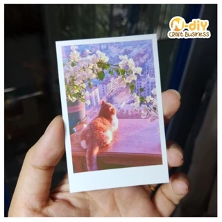 [N-diy] In ảnh 6x9cm giấy tốt