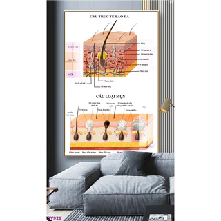 <RẺ VÔ ĐỊCH>Tranh decal dán bóng. Tranh cấu trúc tế bào da và các loại mụn. Quà Tặng.