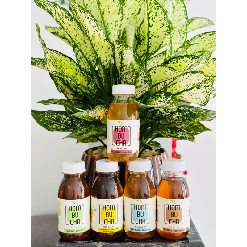 COMBO 10 CHAI VKOMBUCHA LIGHT 250ML