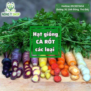 Hạt giống các loại cà rốt (Củ cải đỏ) Rạng đông RADO, cà rốt đỏ, cà rốt tròn, red carot