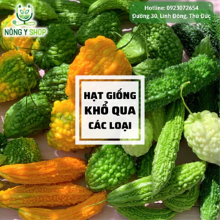 Hạt giống các loại khổ qua, mướp đắng Rạng Đông, khổ qua trái dài,  khổ qua rừng, khổ qua bến tre