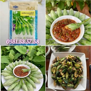 Hạt giống cà dừa abong Thái Lan gói 200 hạt, siêu năng suất