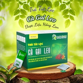 Trà Túi Lọc Cà Gai Leo 60g (20gói x 3g) Dược Liệu Hồng Lan - (Giúp giải độc, mát gan và tăng cường chứ năng gan, tăng cư