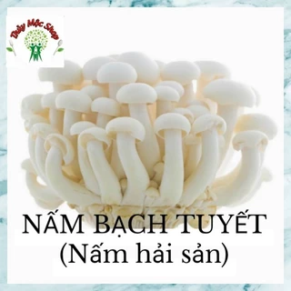 🍄NẤM BẠCH TUYẾT ( NẤM HẢI SẢN) - COMBO 3 TÚI