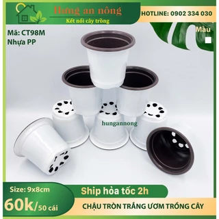 CT98M - Sét 50 cái chậu trắng tròn ươm trồng cây giống nhựa PP size 9x8cm