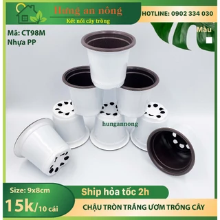 CT98M - Sét 10 cái chậu trắng tròn ươm trồng cây giống nhựa PP size 9x8cm