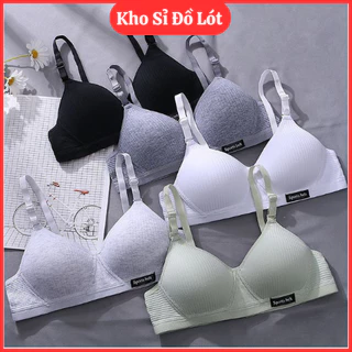 Áo Ngực Nữ Sinh Cotton Không Gọng Đệm Mỏng Cup Ngực Nhỏ Phom Ôm Không Hở Viền 139