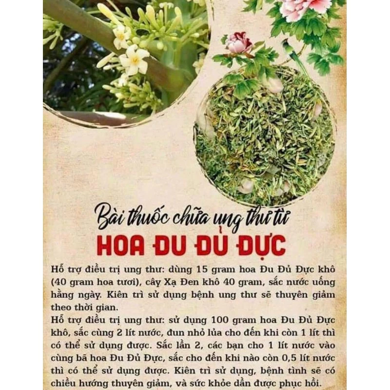 HOA ĐU ĐỦ ĐỰC KHÔ 500g chuẩn đu đủ đực