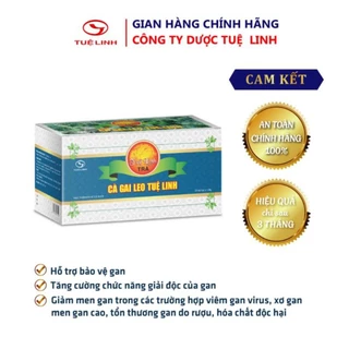 Trà túi lọc cà gai leo - [Chính hãng - Tuệ Linh] - bảo vệ và phục hồi tế bào gan,tăng cường chức năng giải độc của gan