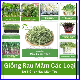 Hạt Giống Rau Mầm Nhiều Loại (Mầm Cải Đỏ, Mầm Bông Cải, Mầm Rau Muống,...) Dễ Trồng, Nảy Mầm Tốt