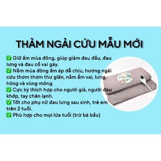 Thảm Ngải Cứu Đông Y , Ruột Ngải Cứu