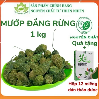 [Mới] Mướp đắng rừng 1Kg nguyên quả, khổ qua rừng, hàng mới, khô, thơm