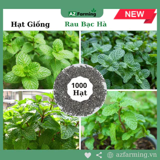 Hạt Giống Rau Bạc Hà (Húng Lủi) - Gói 1000 Hạt - AZ Farming