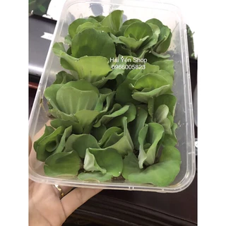 100g BÈO CÁI KHÔ SẠCH