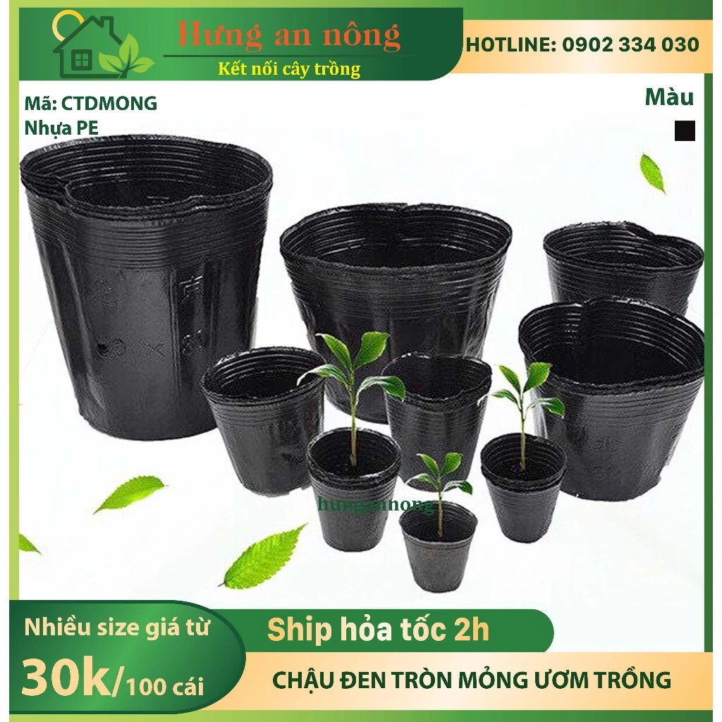 CTDMONG - Sét 50 Chậu ươm trồng cây tiện dụng tiết kiệm chi phí, nhựa PE dai mỏng, size 12x18cm