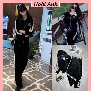 Set Bộ Đồ Nữ Nhung Thêu Miumiu Áo Khoác Dài Tay Có Mũ Phối Sọc Trắng Mix Quần Suông Dài Ống Rộng Freesize