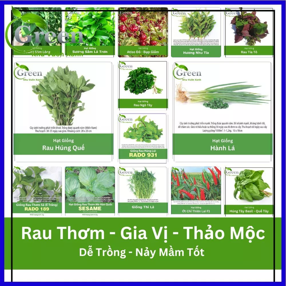 Hạt Giống Rau Thơm Gia Vị Thảo Mộc (Hành, Ngò, Thì Là,...) Dễ Trồng, Nảy Mầm Tốt