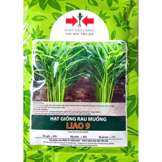 Hạt giống rau muống - Hai mũi tên đỏ, xuất sứ: Thái Lan, gói 100g