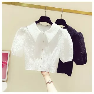 Áo croptop bigsize , áo kiểu nữ che khuyết điểm, dễ phối đồ dành cho các cô gái năng động AP1020