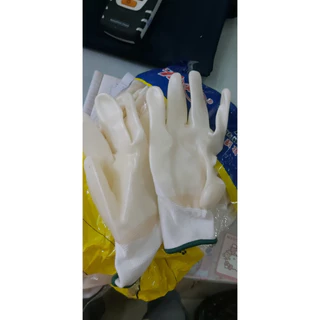 Găng tay cao su trắng ( combo 12 đôi)