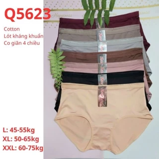 Quần lót nữ bigsize thun cạp cao ôm bụng Thái Lan Sister Hood 5623