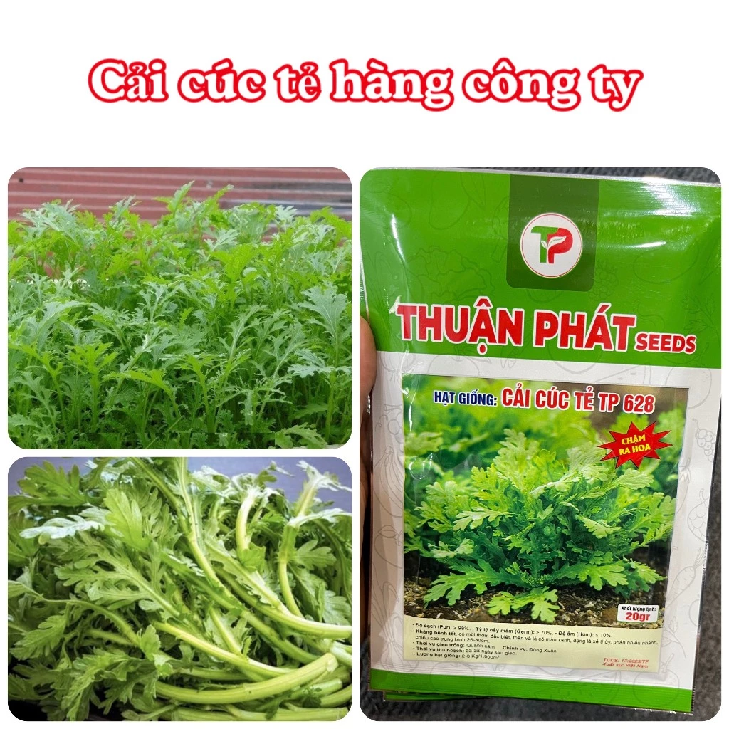 Hạt giống Cải Cúc Tẻ gói 20 gram hàng chính hãng công ty đóng gói