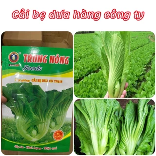 Hạt giống rau Cải bẹ dưa gói 20gram hàng chính hãng công ty đóng gói