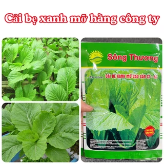 Hạt giống rau Cải bẹ xanh mỡ gói 20gram hàng chính hãng công ty đóng gói