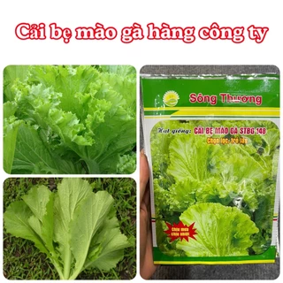 Hạt giống rau Cải bẹ mào gà 20gam hàng chính hãng công ty đóng gói