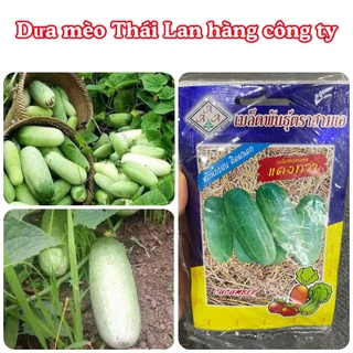 Hạt giống Dưa chuột mèo Thái Lan 200 hạt hàng chính hãng công ty đóng gói