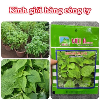 Hạt giống rau Kinh giới gói 2gram hàng chính hãng công ty đóng gói