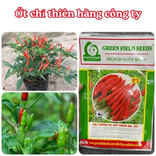 Hạt giống  Ớt chỉ thiên 0,1gram hàng chính hãng công ty đóng gói