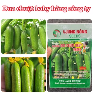 Hạt giống Dưa chuột baby F1 10hạt hàng chính hãng công ty đóng gói