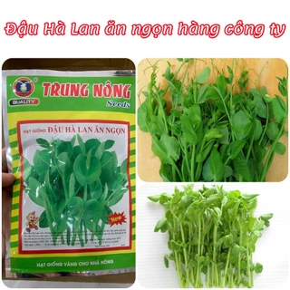 Hạt giống Đậu hà lan siêu ngọn 20gram hàng chính hãng công ty đóng gói