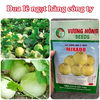 Hạt giống Dưa lê 1gram hàng chính hãng công ty đóng gói