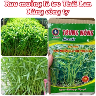 Hạt giống Rau muống lá tre hàng chính hãng công ty đóng gói