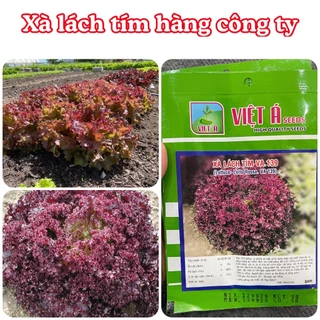 Hạt giống rau Xà lách xoăn tím hàng chính hãng công ty đóng gói