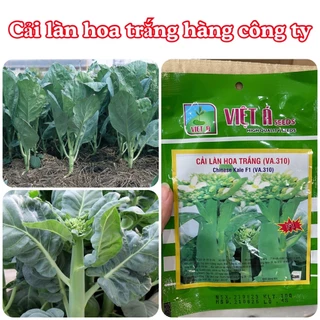 Hạt giống Cải Làn hoa trắng 10 gram hàng chính hãng công ty đóng gói