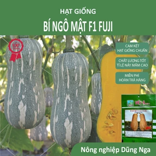 Hạt giống Bí Ngô Mật Cao Sản – 10gram