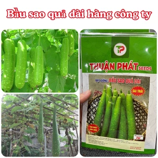 Hạt giống Bầu Sao gói 2 gram  hàng chính hãng công ty đóng gói