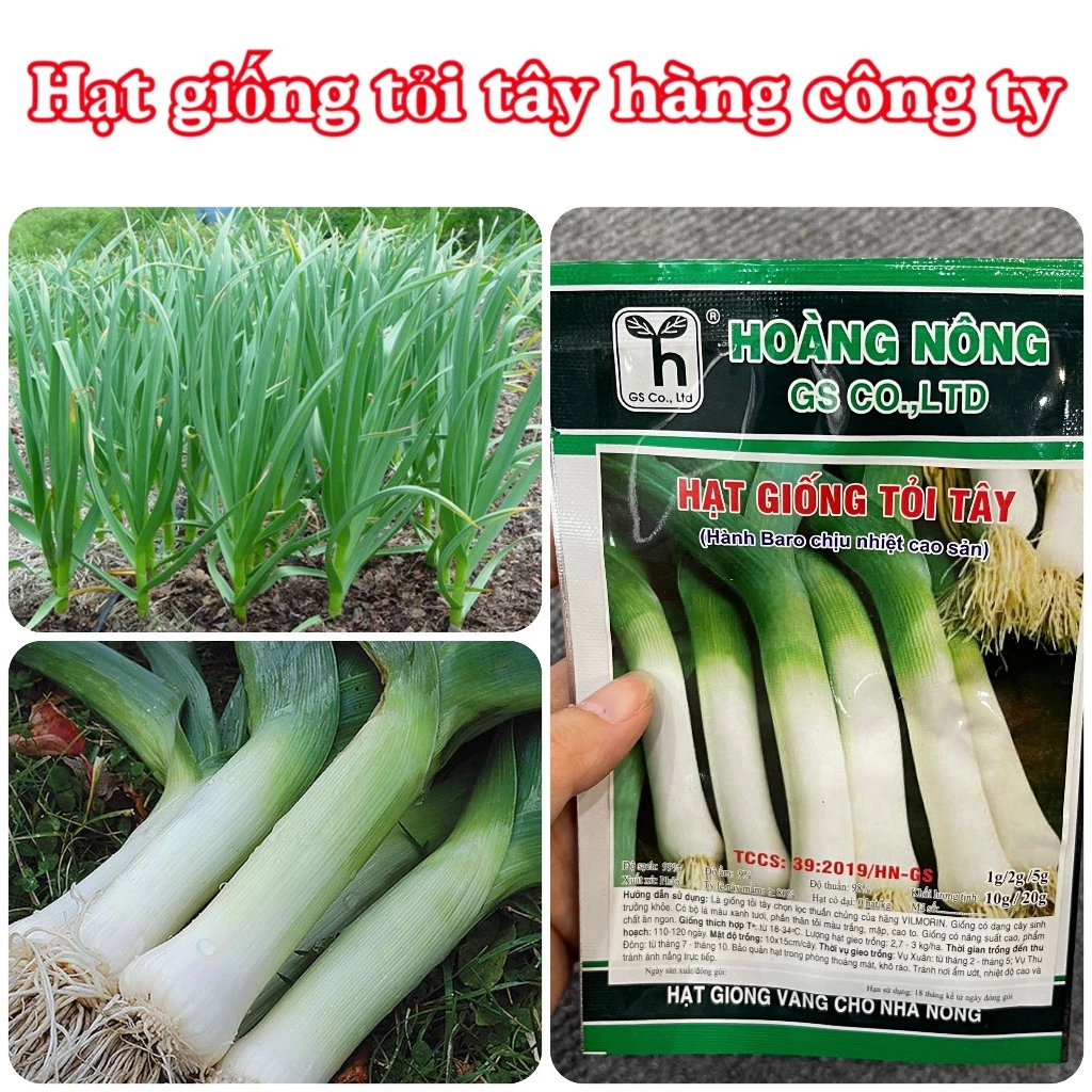 Hạt giống Tỏi Tây F1 1gram  hàng chính hãng công ty đóng gói